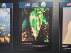 A ABA sedia a exposi&ccedil;&atilde;o #EuEscolhoATerra